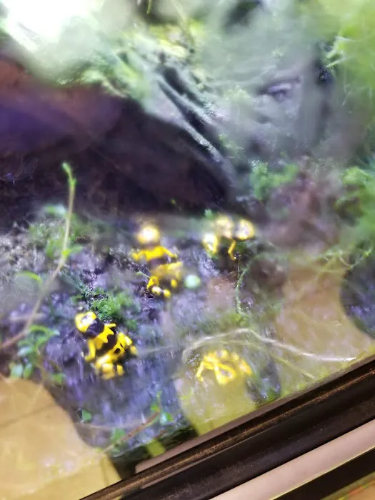 Feeders Unlimited Picture 6