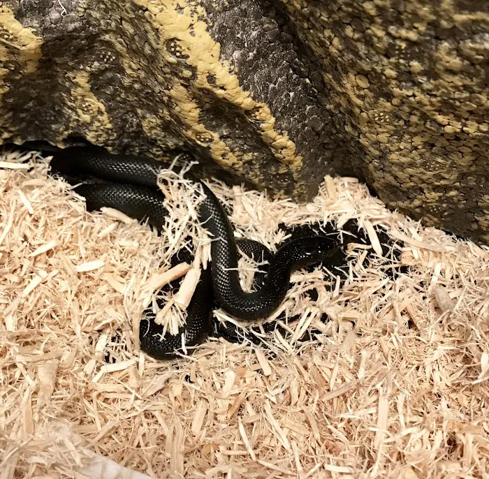 Feeders Unlimited Picture 10