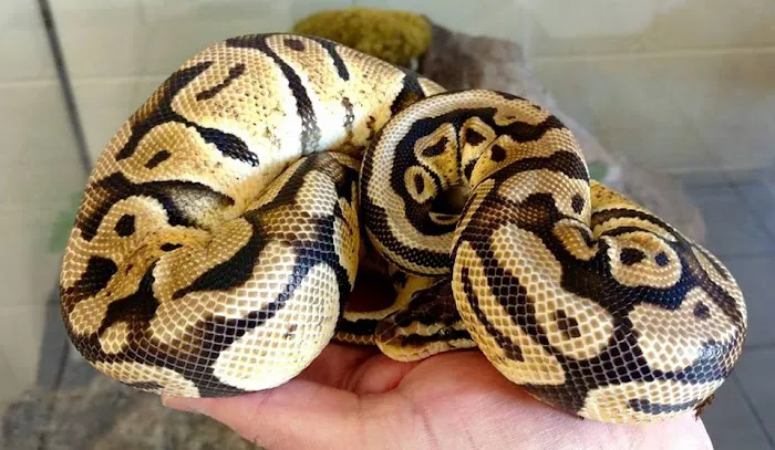 Feeders Unlimited Picture 7
