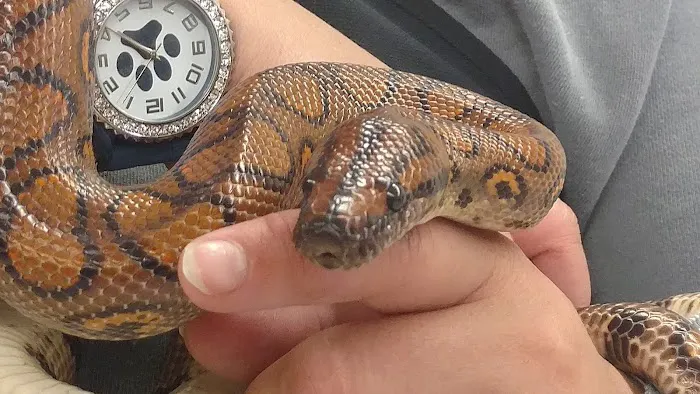 Feeders Unlimited Picture 8