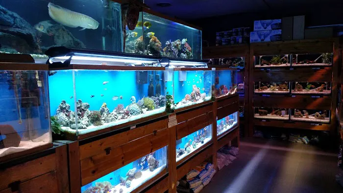 Animal Attraction Picture 1