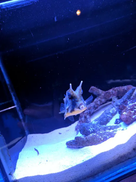 Animal Attraction Picture 7
