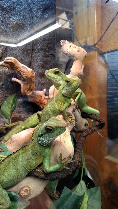 Animal Attraction Picture 10