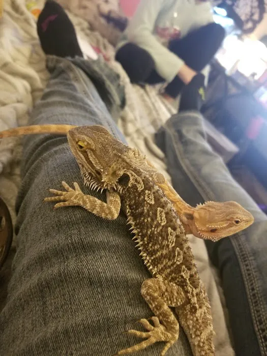 Scales 'N Tails Ft. Collins Picture 3