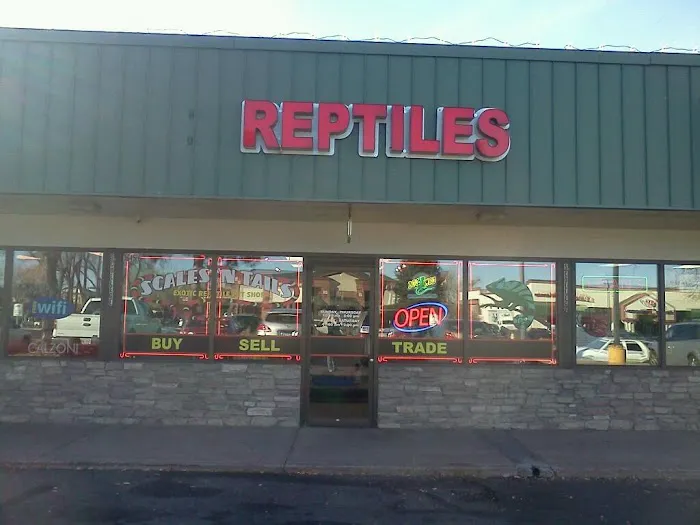 Scales 'N Tails Ft. Collins Picture 2