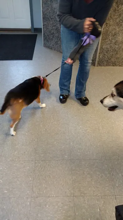 Queen Village Animal Hospital Picture 6