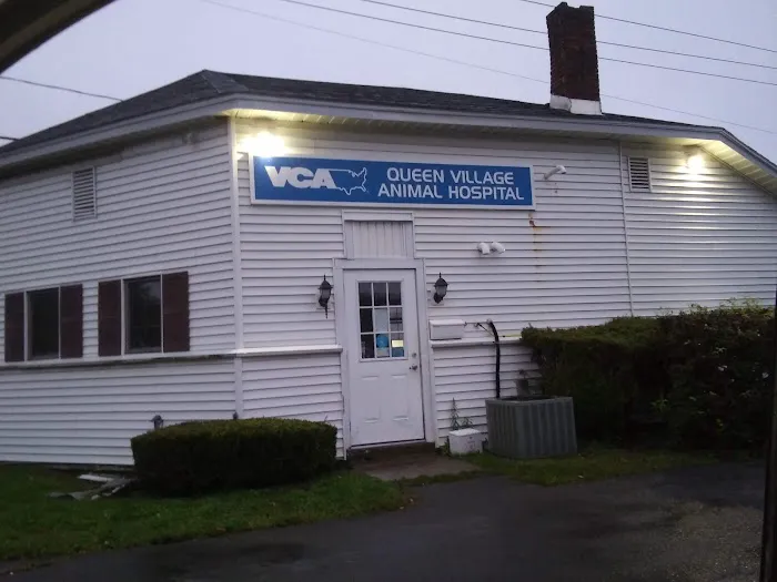 Queen Village Animal Hospital Picture 4