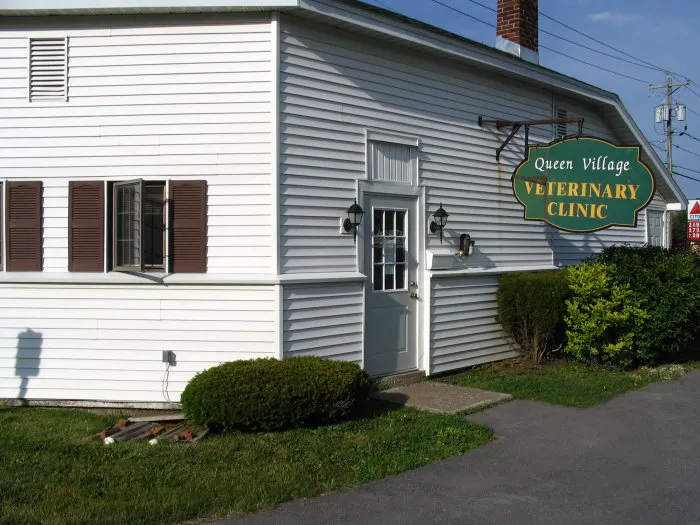 Queen Village Animal Hospital Picture 8