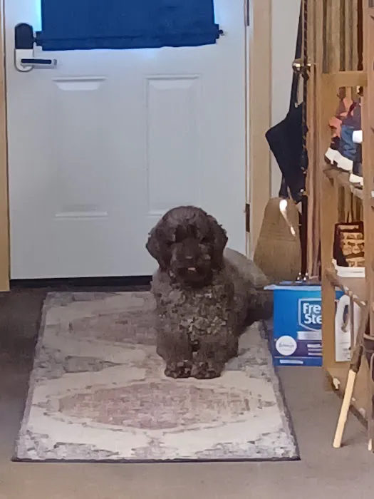 Countryside Veterinary Clinic - Boonville Picture 5