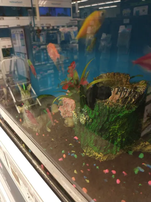 Petco Picture 2