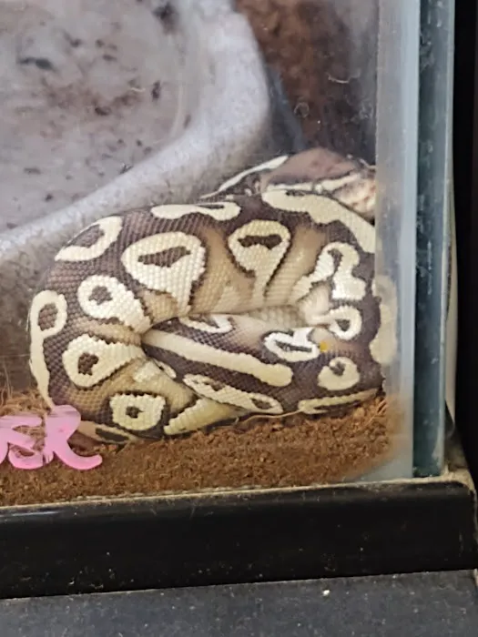 Petco Picture 5