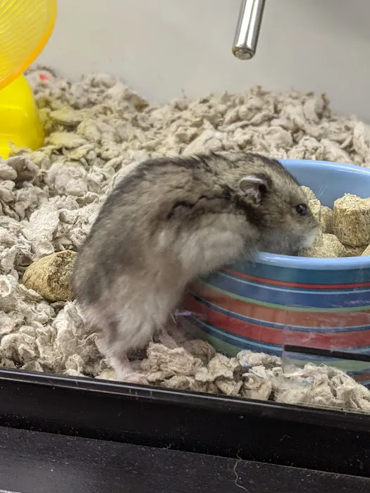 Petco Picture 6