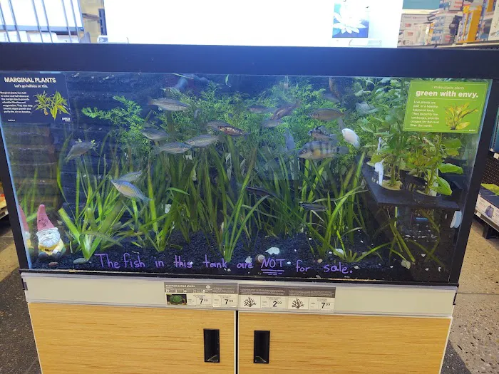 Petco Picture 9
