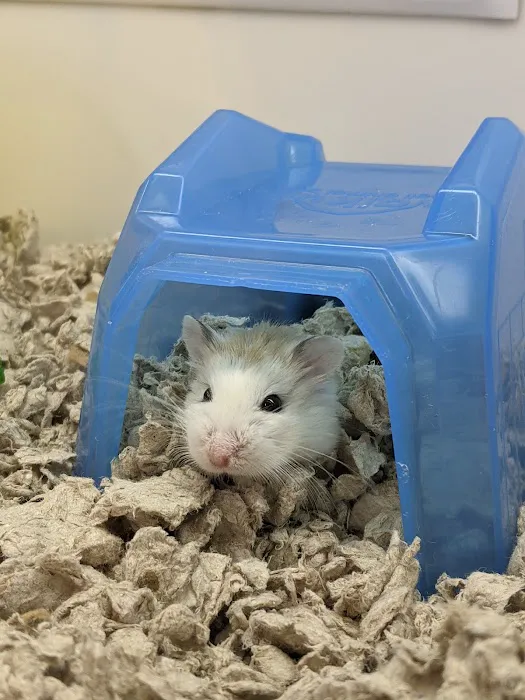 Petco Picture 8