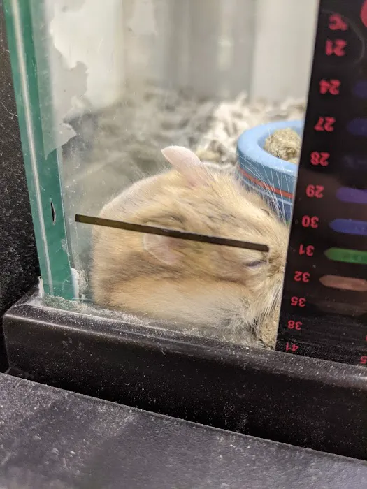 Petco Picture 10