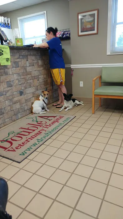 Double A Veterinary Hospital Picture 2