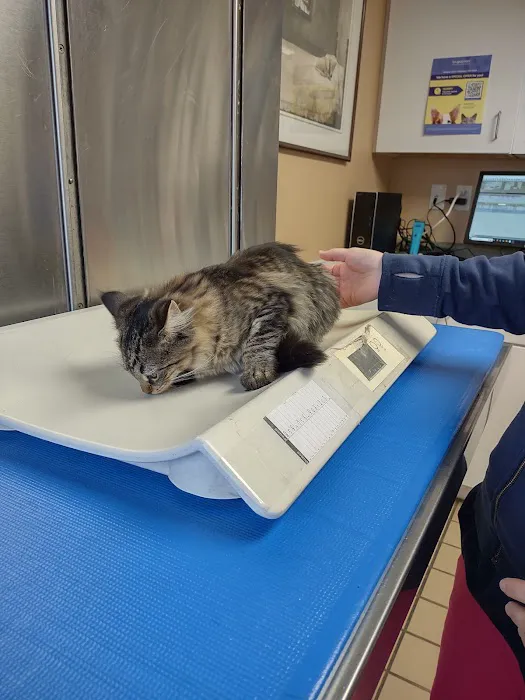 Double A Veterinary Hospital Picture 3