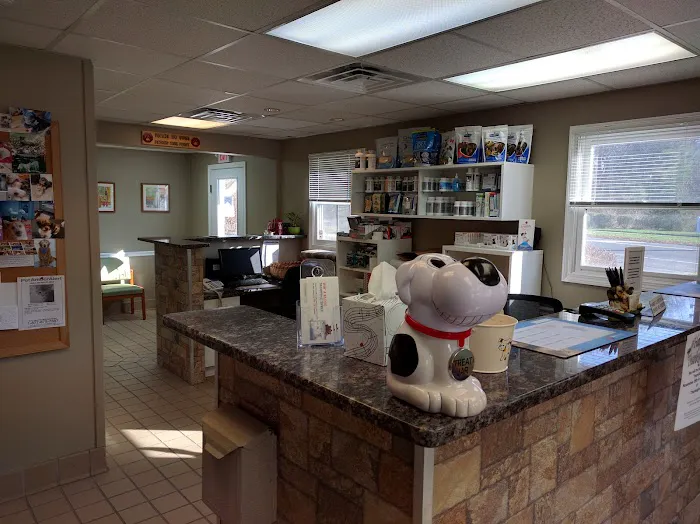 Double A Veterinary Hospital Picture 8