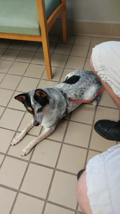 Double A Veterinary Hospital Picture 1