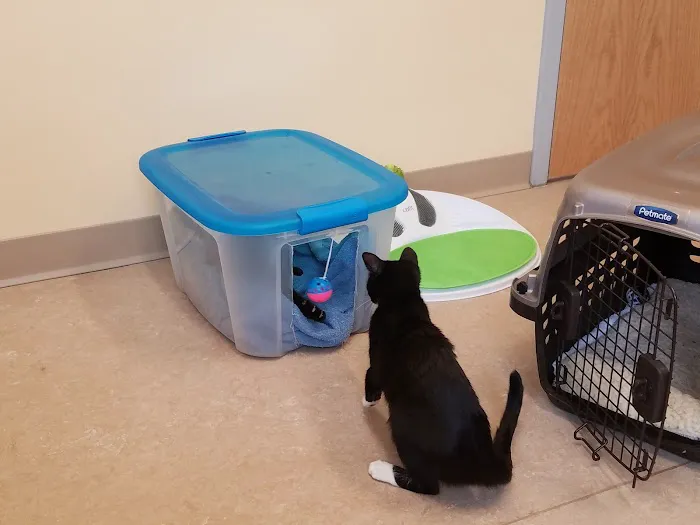 Beaver Brook Animal Hospital Picture 3