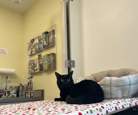 Beaver Brook Animal Hospital