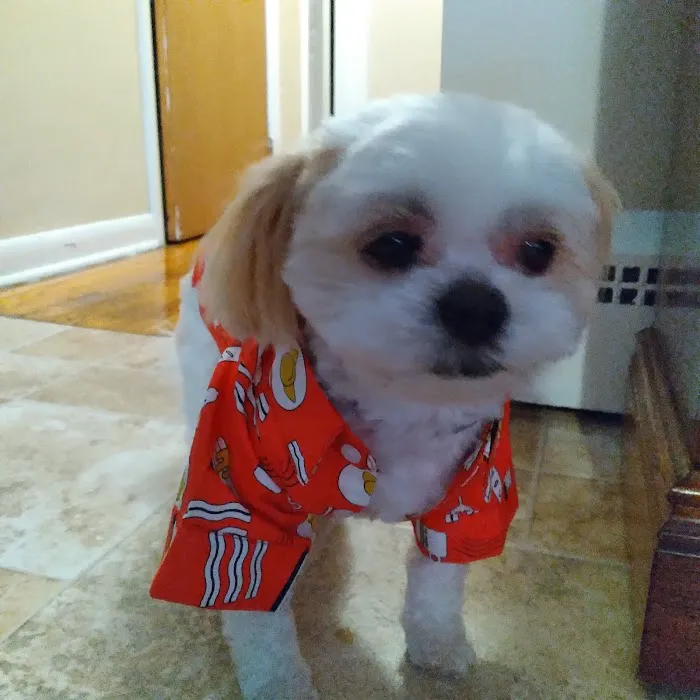 Beaver Brook Animal Hospital Picture 10
