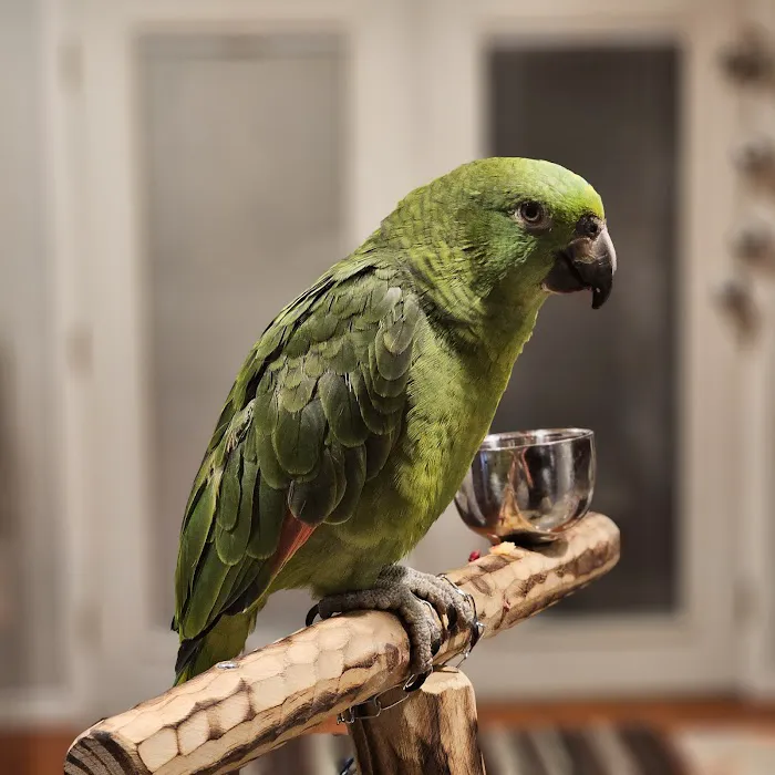Exotic Bird Ranch Picture 1