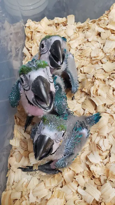 Exotic Bird Ranch Picture 2