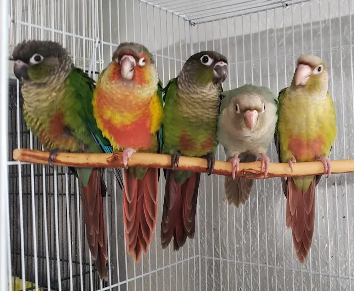 Exotic Bird Ranch Picture 3