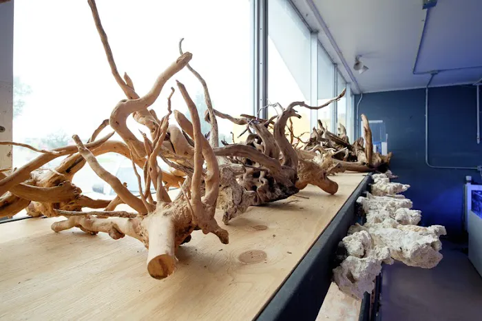 Underwater Wonders Picture 6