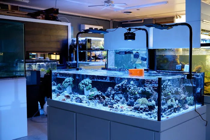 Underwater Wonders Picture 5