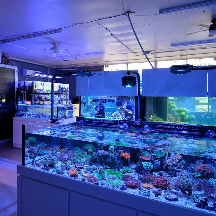 Underwater Wonders Picture 7