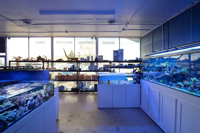 Underwater Wonders Picture 3