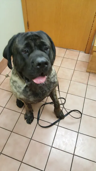 VCA Cromwell Animal Hospital Picture 1