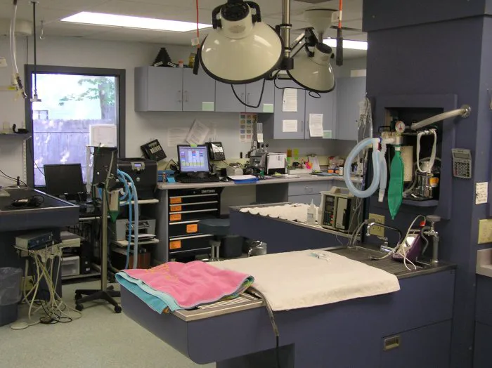 VCA Cromwell Animal Hospital Picture 4