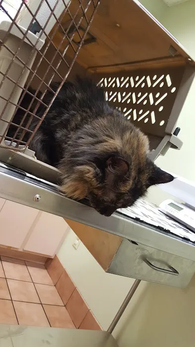 VCA Cromwell Animal Hospital Picture 3