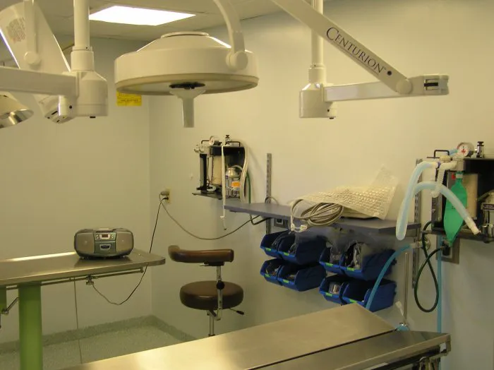 VCA Cromwell Animal Hospital Picture 9