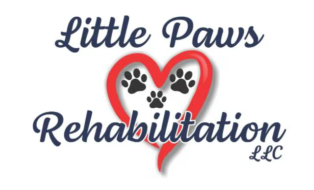 Little Paws Rehab Picture 1