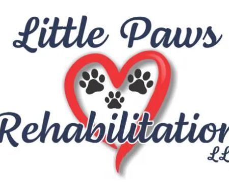 Little Paws Rehab