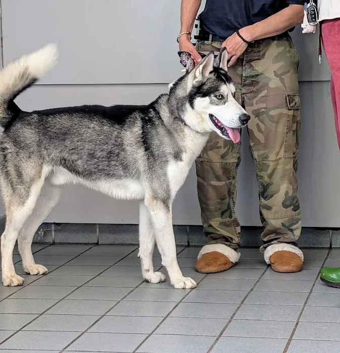 Pieper Veterinary Berlin Street Picture 9