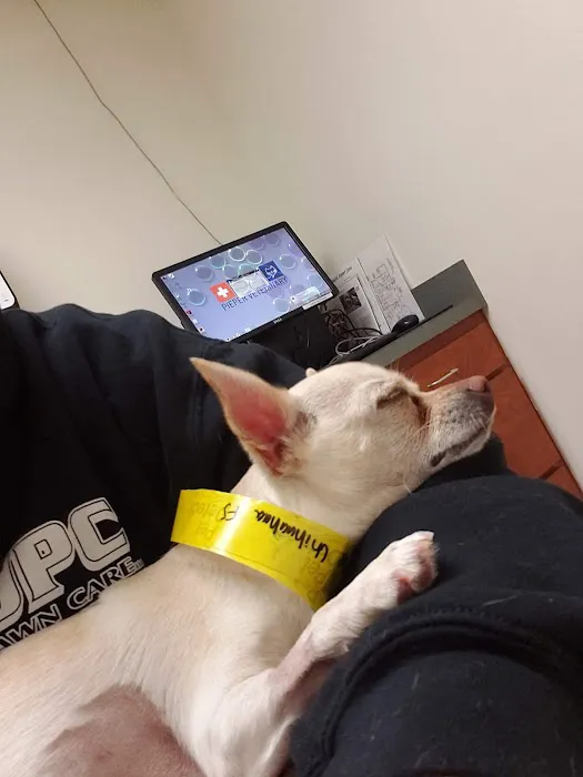 Pieper-Olson Veterinary Hospital Picture 3