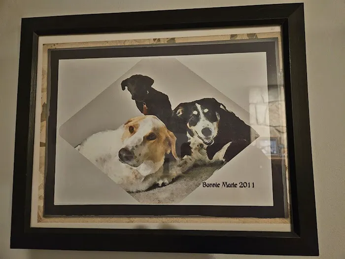 Pieper-Olson Veterinary Hospital Picture 6