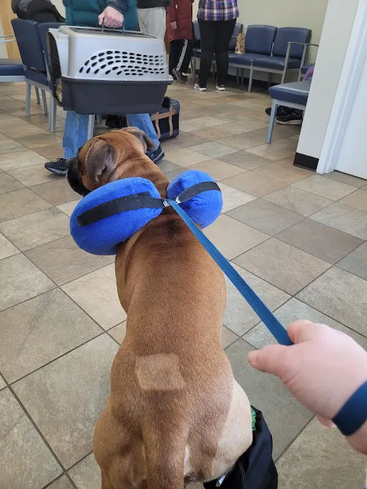 Pieper-Olson Veterinary Hospital Picture 2