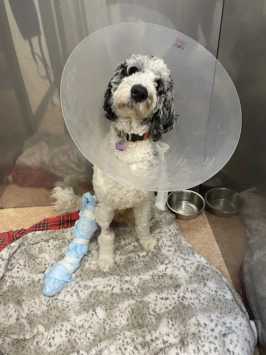 Pieper-Olson Veterinary Hospital Picture 4