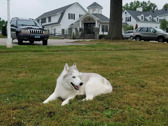 Pieper-Olson Veterinary Hospital Picture 1