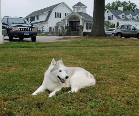 Pieper-Olson Veterinary Hospital