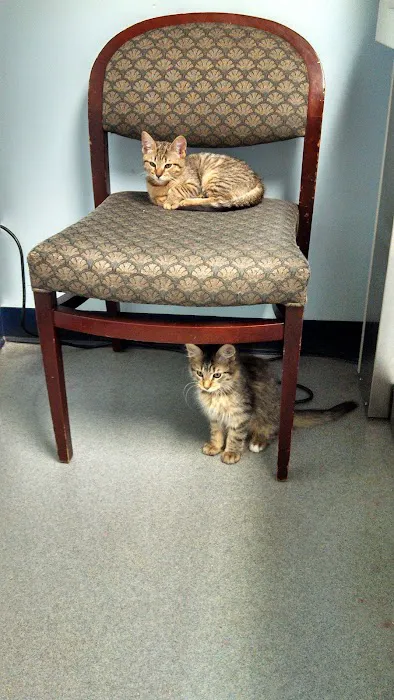 Bloomfield Animal Hospital Picture 2