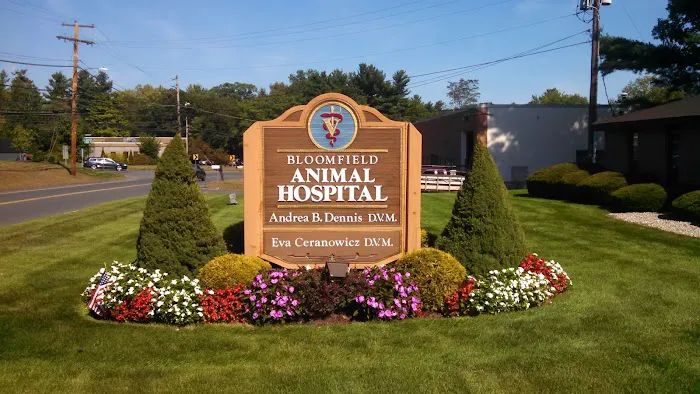 Bloomfield Animal Hospital Picture 8