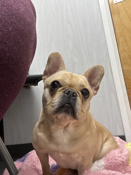 Connecticut Veterinary Center Picture 8