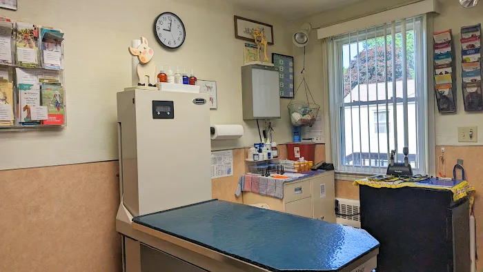 Connecticut Veterinary Center Picture 10